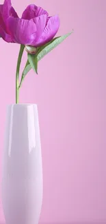 Minimalist mobile wallpaper showing a pink flower in a white vase.