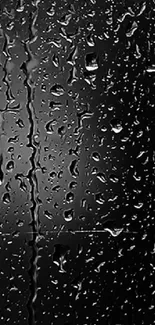 Purple flower on a black background mobile wallpaper.