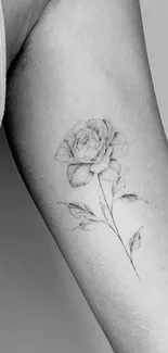 Minimalist rose tattoo on arm in black and white sketch style.