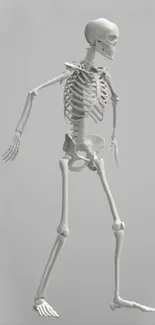 A minimalist 3D skeleton on a gray background for mobile wallpaper.