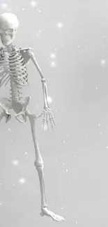 Monochrome skeleton on a soft grey background with minimalist design.