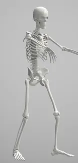 Minimalist skeleton on gray background for mobile wallpaper.