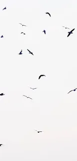 Minimalist wallpaper of birds flying in a white sky.