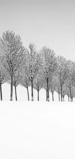 Monochrome wallpaper of a snowy tree line in winter landscape.