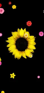 Minimalist sunflower on black background wallpaper.