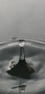 Black and white minimalist water droplet wallpaper.