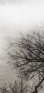 Minimalist wallpaper featuring a bare tree against a foggy gray sky.