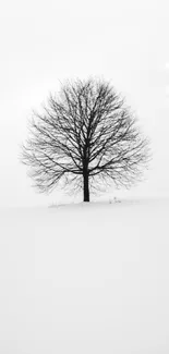 Minimalist black tree on snowy white landscape wallpaper.