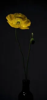 Minimalist design featuring a yellow poppy on a dark background.