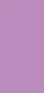 Minimalistic lavender purple mobile wallpaper.