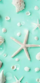 Mint green wallpaper with seashells and starfish design