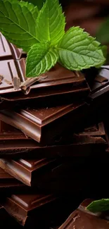 Stack of dark chocolate topped with fresh mint leaves.