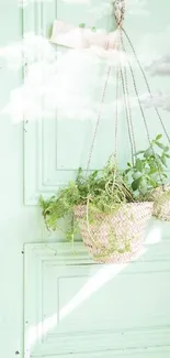 Mint green door with hanging baskets and lush plants.