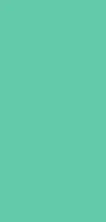 Mint green minimalist wallpaper for mobile phones.