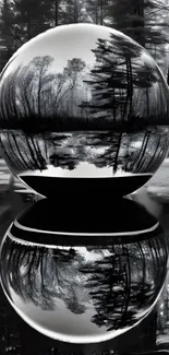 Reflective sphere with forest scene in black and white.