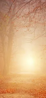 Misty forest path with autumn leaves and sunshine.