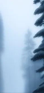 Misty forest with a lone hiker in winter landscape.