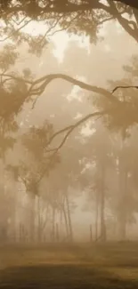 Misty forest at dawn with golden hues and fog enveloping the trees.