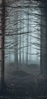 Misty forest mobile wallpaper with fog and tall trees in a serene setting.