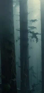 Misty forest with tall trees and a tranquil atmosphere