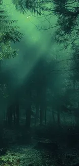 Misty forest with green hues and mysterious tree silhouettes