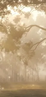 Misty forest with morning sunlight filtering through trees, creating a serene atmosphere.