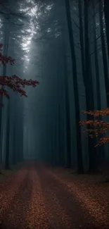 Misty forest path with autumn leaves and towering trees.