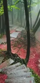 Misty forest path with red leaves and stone steps.