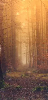 Misty forest path with amber light in a serene natural setting.