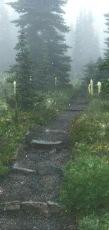 Misty forest path with lush greenery and wildflowers in foggy ambiance.