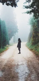 Misty forest path with lone figure walking.