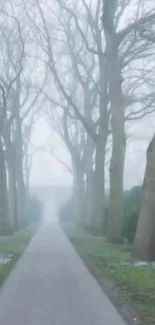 A misty forest path with bare trees on either side, creating a tranquil atmosphere.