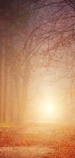 Misty forest path with warm sunlight and autumn leaves.