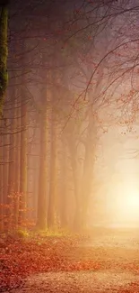 Misty forest path with autumn leaves