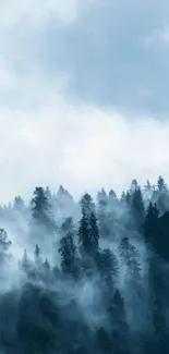 Foggy forest with mist and trees in soft blue-grey tones.