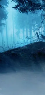 Misty forest wallpaper with blue hues.