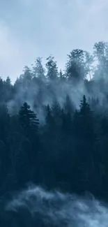 Misty forest with trees enveloped in fog and soft blue tones.