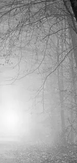 Black and white misty forest wallpaper with trees and fog.