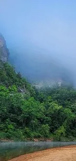 Misty forest river wallpaper with lush green trees and calm waters.