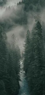 Misty forest river with lush green trees and a foggy atmosphere.