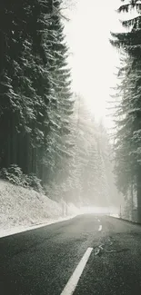 Misty forest road with snowfall and tall trees