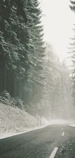 Misty road through a snowy forest with tall trees lining the path.