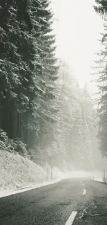 Misty forest road wallpaper with fog and snow on trees.