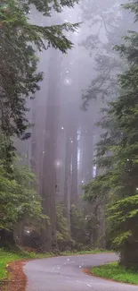 Misty road through dense green forest wallpaper.