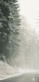 Foggy road through a misty forest with snow-covered trees.