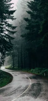 Serene misty forest road with lush green trees.