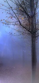 Misty forest with blue hues and serene atmosphere.