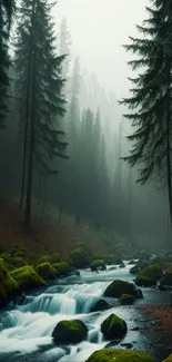 Misty forest with a flowing stream and moss-covered rocks.