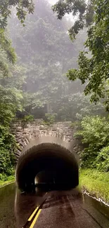 Misty tunnel surrounded by lush green forest in a tranquil setting.