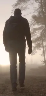 Silhouette of a person walking in a misty forest at sunrise.